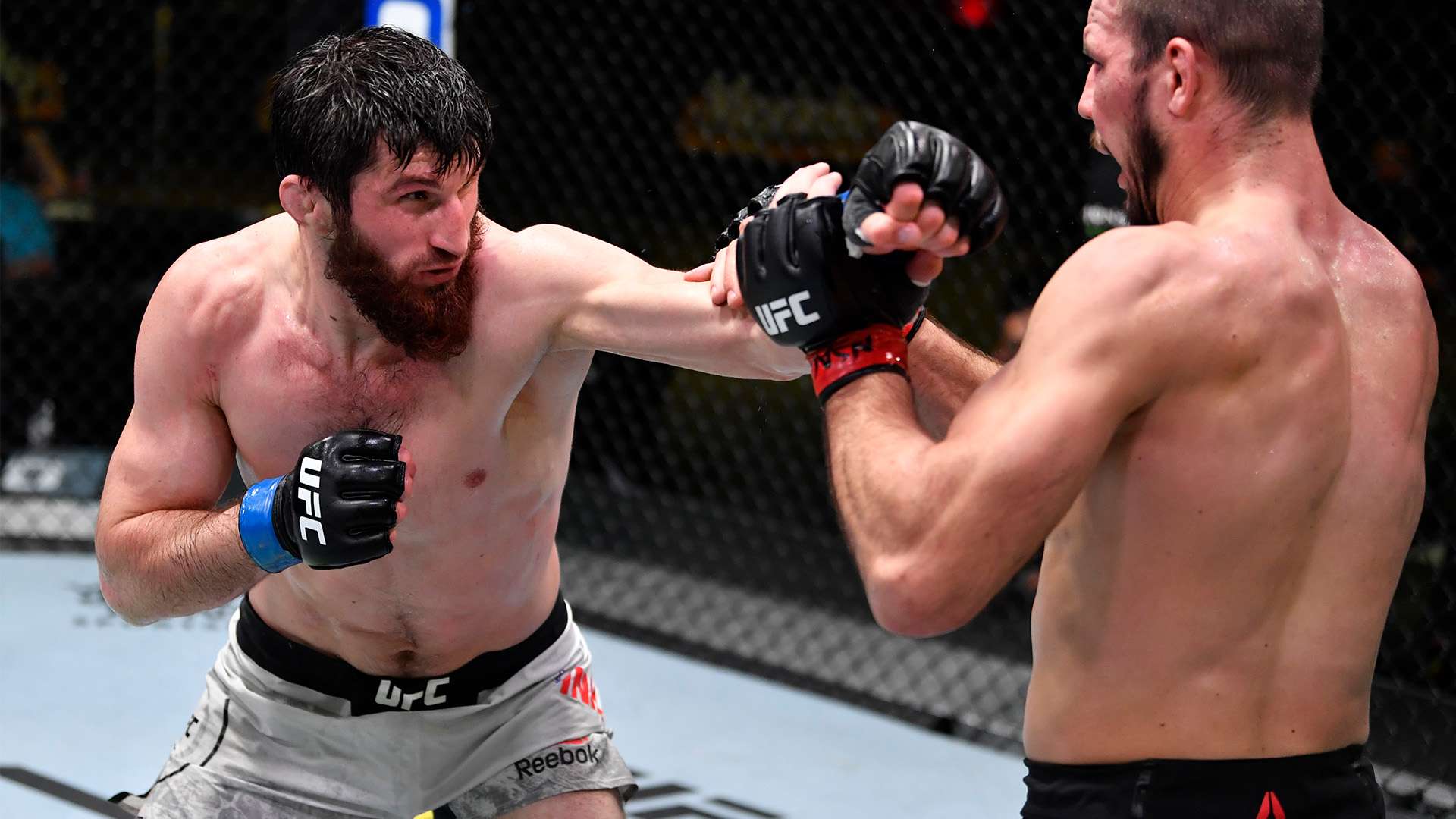 廷国家队效 廷国家队效